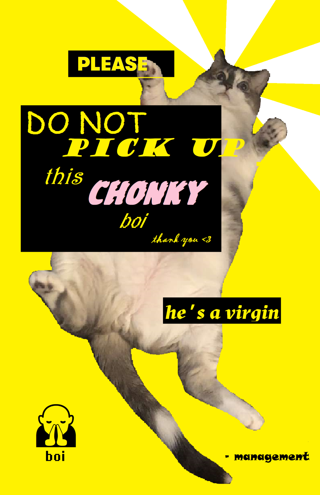 This poster was made for a friend's apartment as a defensive mechanism against visitors for the cat. This was a quick job made with Microsoft Paint for raw authenticity, I love the boldness